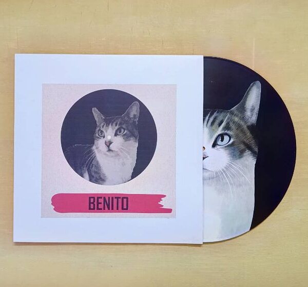 Disco de vinilo con un gato llamado Benito pintado en acrílico